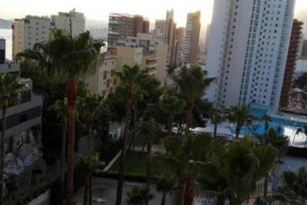 Family Near Of Apartment *